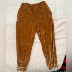 Women’s Burnt Orange Velvet Joggers
